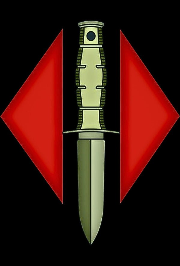 TS combat india